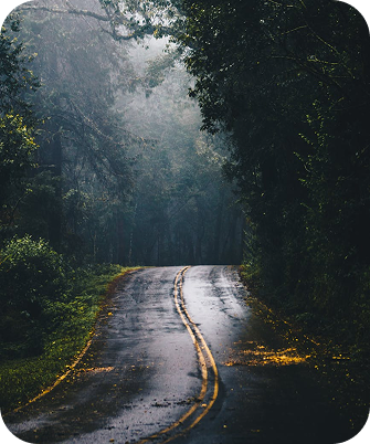 road in a forest